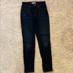 Everlane | The curvy high rise skinny jean | Dark Blue Women's Jeans | 26 Crop